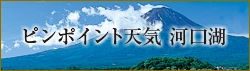 Weather Forecast