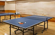 Table Tennis